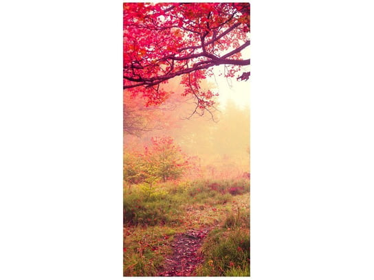 Fototapeta Jesienny krajobraz, 95x205 cm Oobrazy