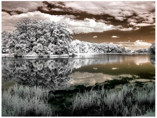 Fototapeta Jezioro pośrodku lasu, 2 elementy, 200x150 cm Oobrazy
