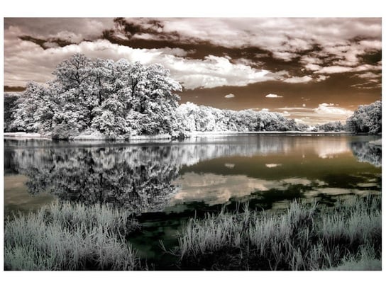 Fototapeta Jezioro pośrodku lasu, 8 elementów, 368x248 cm Oobrazy