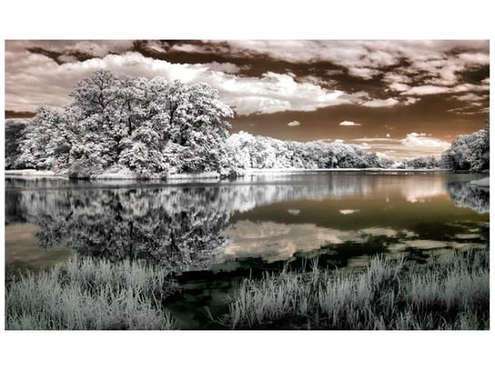 Fototapeta Jezioro pośrodku lasu, 8 elementów, 412x248 cm Oobrazy