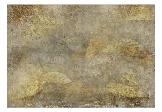 Fototapeta, Kamienna natura, 100x70 cm DecoNest