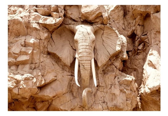 Fototapeta, Kamienny słoń (RPA), 250X175 DecoNest