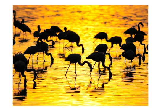 Fototapeta, Kenia, flamingi na jeziorze Nakuru, 200X154 DecoNest