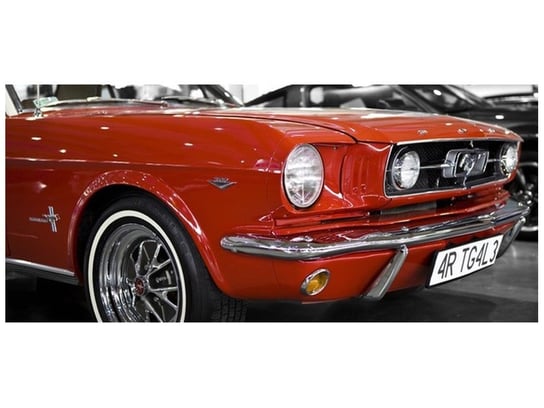 Fototapeta, Klasyczny Mustang, 12 elementów, 536x240 cm Oobrazy