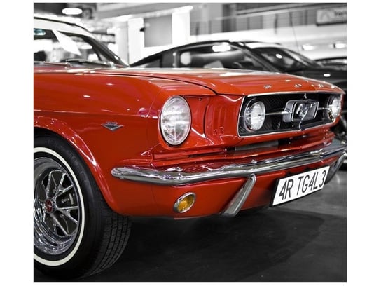 Fototapeta Klasyczny Mustang, 6 elementów, 268x240 cm Oobrazy