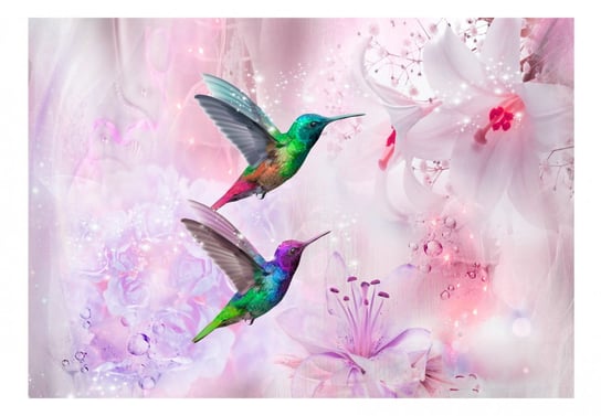 Fototapeta, Kolorowe kolibry (fioletowy), 350x245 cm DecoNest