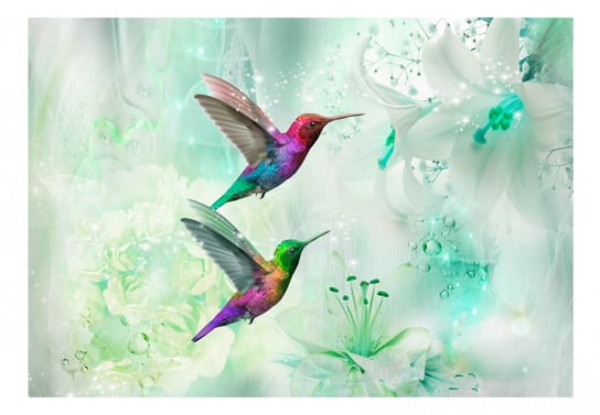 Fototapeta, Kolorowe kolibry (zielony), 300x210 cm DecoNest