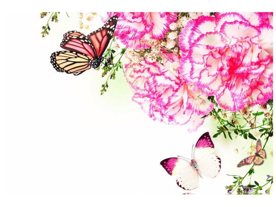Fototapeta Kolorowe motylki, 200x135 cm Oobrazy
