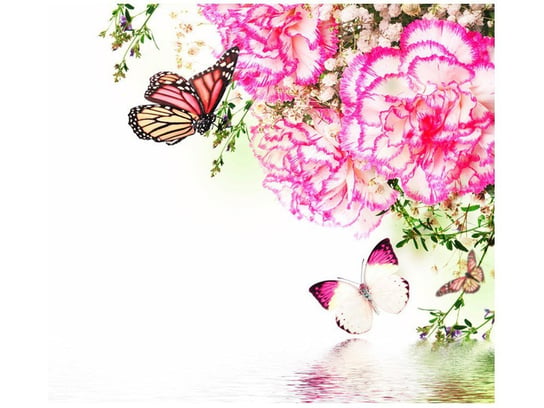 Fototapeta Kolorowe motylki, 6 elementów, 268x240 cm Oobrazy