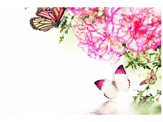 Fototapeta Kolorowe motylki, 8 elementów, 368x248 cm Oobrazy