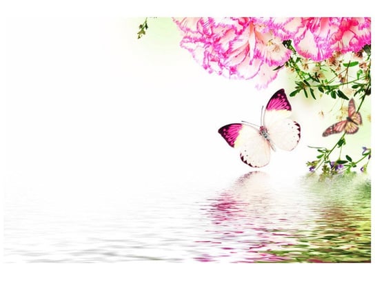 Fototapeta Kolorowe motylki, 8 elementów, 400x268 cm Oobrazy