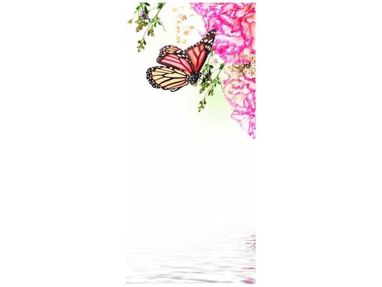 Fototapeta Kolorowe motylki, 95x205 cm Oobrazy