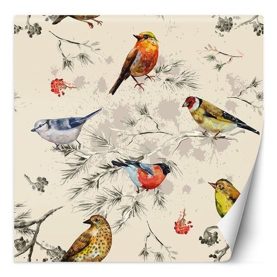 Fototapeta Kolorowe ptaki malowane akwarelą 100x100 Feeby