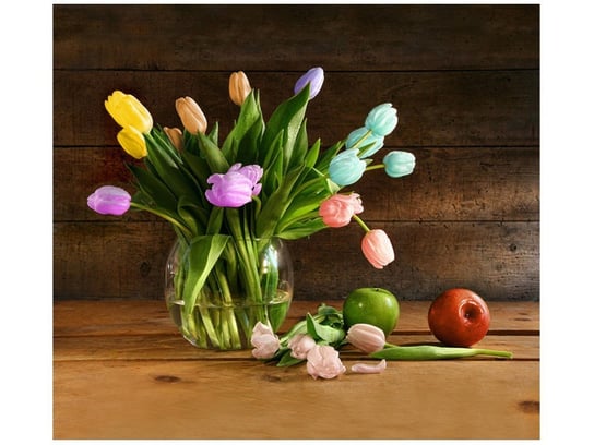Fototapeta Kolorowe tulipany, 6 elementów, 268x240 cm Oobrazy