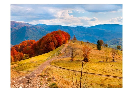 Fototapeta, Kolorowy jesienny pejzaż, Karpaty, 200X154 DecoNest