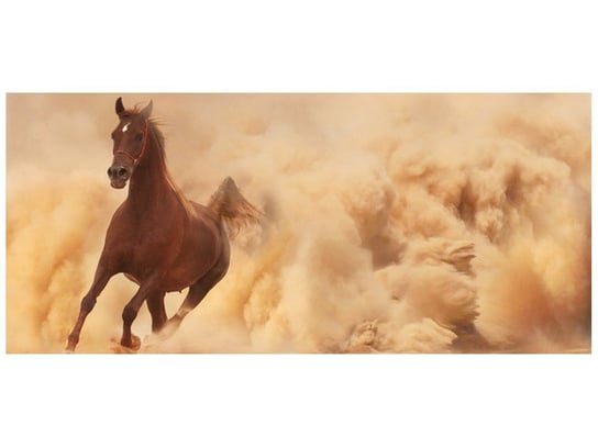 Fototapeta, Koń w galopie, 12 elementów, 536x240 cm Oobrazy