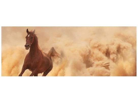 Fototapeta Koń w galopie, 2 elementy, 268x100 cm Oobrazy