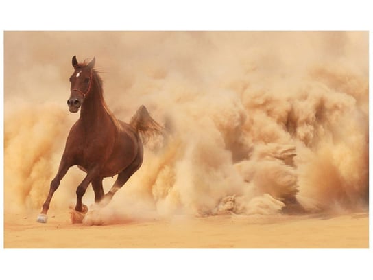 Fototapeta, Koń w galopie, 9 elementów, 402x240 cm Oobrazy