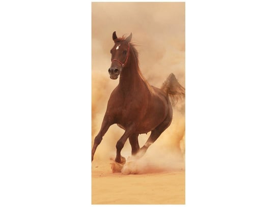 Fototapeta Koń w galopie, 95x205 cm Oobrazy