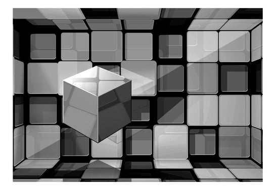 Fototapeta, Kosta Rubika w szarościach, 200x140 cm DecoNest