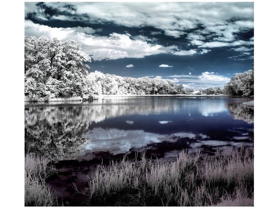 Fototapeta Krajobraz w podczerwieni, 6 elementów, 268x240 cm Oobrazy