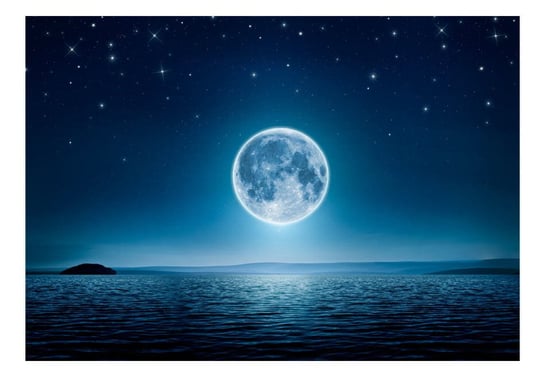 Fototapeta, Księżycowa noc, 250x175 cm DecoNest
