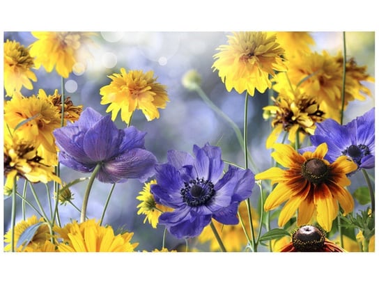 Fototapeta, Kwiatki na łące, 9 elementów, 402x240 cm Oobrazy