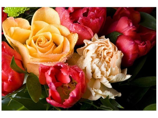 Fototapeta Kwiaty, 8 elementów, 368x248 cm Oobrazy
