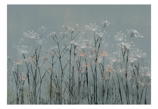 Fototapeta, Kwiaty czosnku, 100x70 cm DecoNest