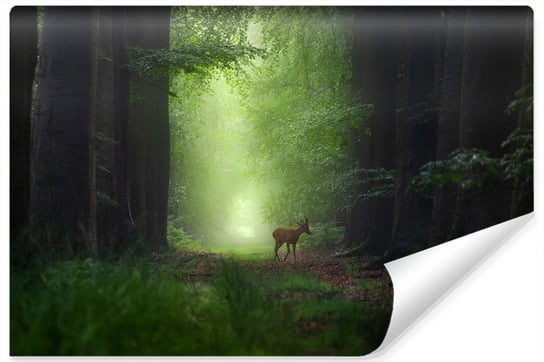 Fototapeta Las JELEŃ Drzewa Natura Wzór 3D 400cm x 280cm Muralo