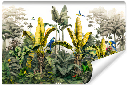 Fototapeta Las TROPIKALNY Drzewa Bananowe Papugi Natura 270cm x 180cm Muralo