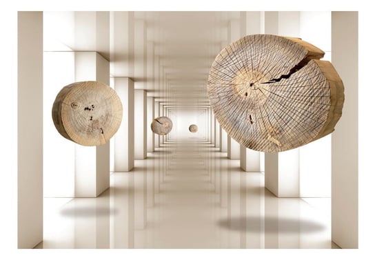 Fototapeta, Latające krążki drewna, 250x175 cm DecoNest
