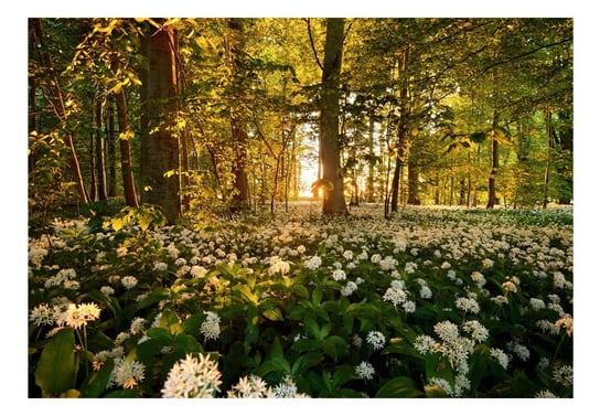 Fototapeta, Leśna flora, 250x175 cm DecoNest