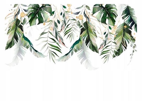 Fototapeta LIŚCIE Palmy Monstera Natura 312x219 cm Consalnet