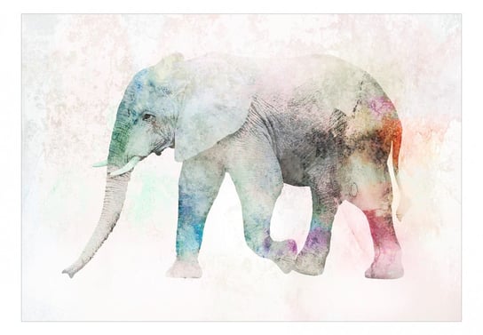 Fototapeta, Malowany słoń, 100x70 cm DecoNest