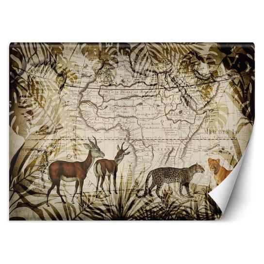 Fototapeta Mapa i dzikie zwierzęta - Andrea Haase 150x105 Feeby