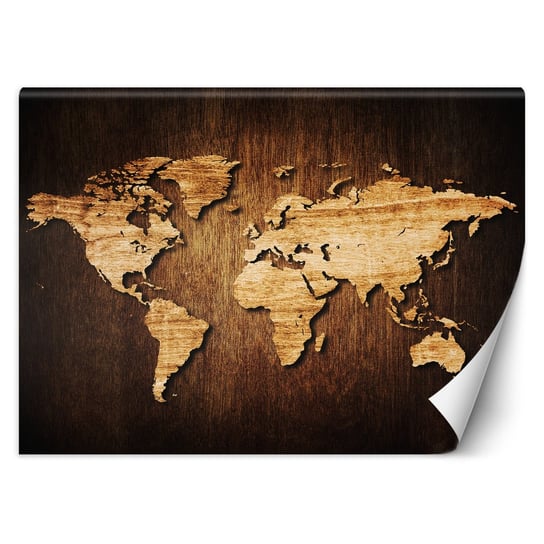 Fototapeta Mapa świata na drewnie 200x140 Feeby