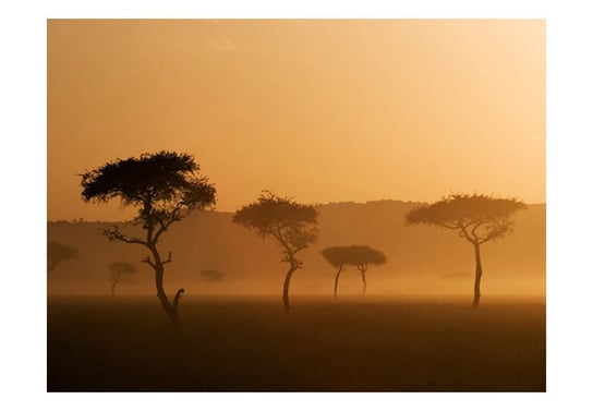 Fototapeta, Massai Mara, 200X154 DecoNest