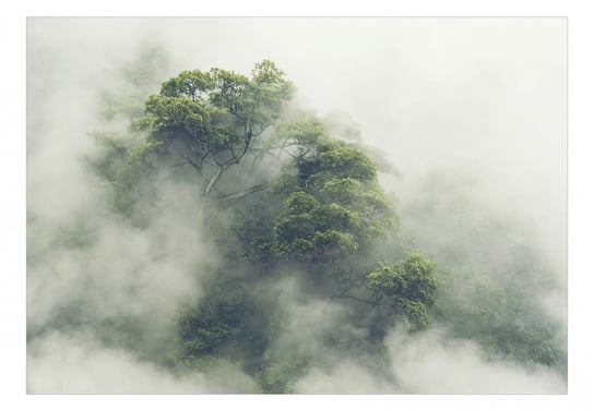 Fototapeta, Mglista Amazonia, 100x70 cm DecoNest