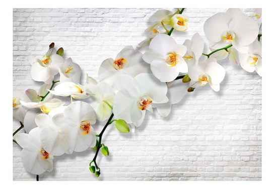 Fototapeta, Miejska orchidea, 150x105 cm DecoNest