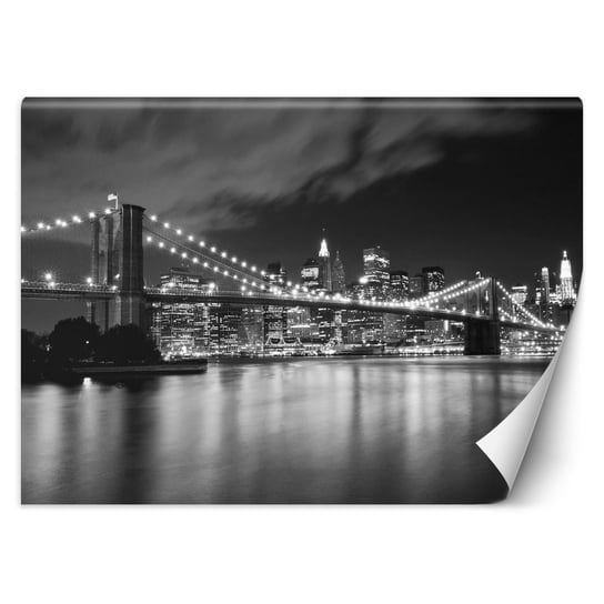 Fototapeta, Most Brookliński nocą, Nowy Jork 100x70 Feeby