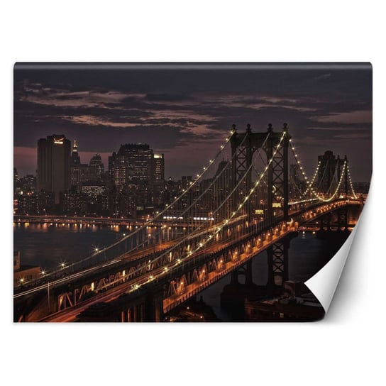 Fototapeta, Most w Nowym Jorku 150x105 Feeby