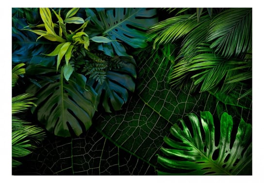 Fototapeta, Mroczna dżungla, 200x140 cm DecoNest