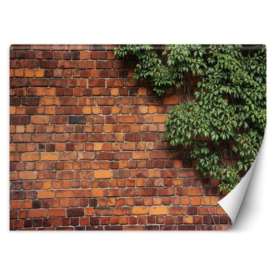 Fototapeta, Mur z cegły rośliny - 200x140 Inna marka