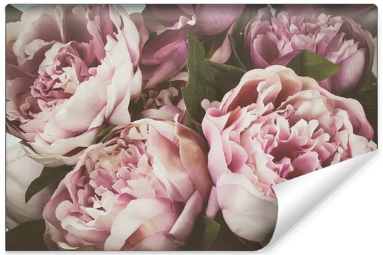 Fototapeta, MURALO, Peonie w Stylu Vintage 90cm x 60cm Muralo