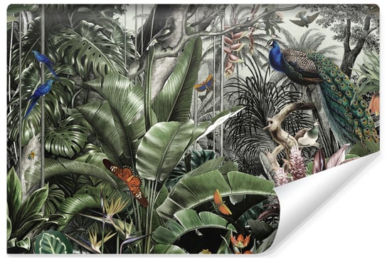 Fototapeta, MURANO, Ptaki Liście Tropikalne Dżungla 270cm x 180cm Muralo