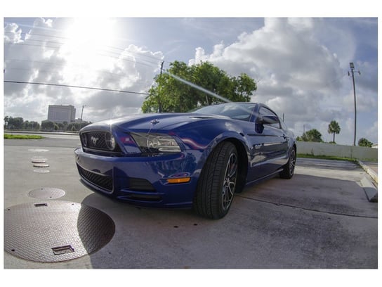 Fototapeta, Mustang - Brett Levin, 8 elementów, 368x248 cm Oobrazy
