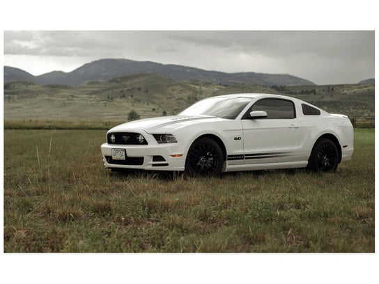 Fototapeta, Mustang GT V8 - Brett Levin, 8 elementów, 412x248 cm Oobrazy