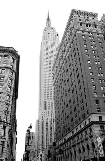 Fototapeta  Nice Wall, Empire State Building  115x175 cm Nice Wall