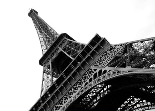 Fototapeta Nice Wall Wieża Eiffel, Paryż 254x183 cm Nice Wall